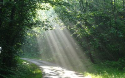 La Conscience et la Sophrologie