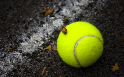 Jo-Wilfried Tsonga pratique la sophrologie