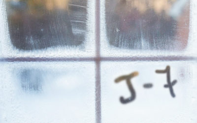 2017 à J-7