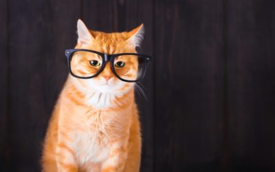 La présence en sophrologie